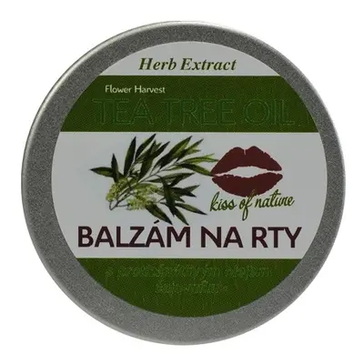 Vivaco Herb extrakt Balzám na rty s Tea Tree Oil HERB EXTRACT 25 g