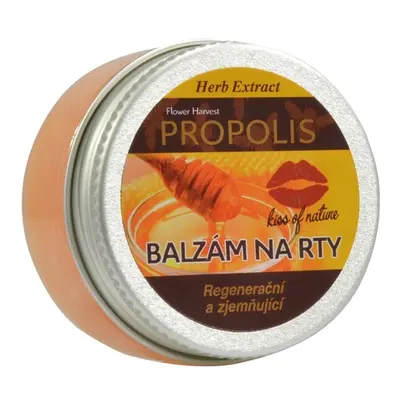 Vivaco Herb extrakt Ochranný balzám na rty Propolis HERB EXTRACT 25 g