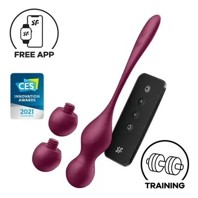 SATISFYER Love Birds Vary Connect App