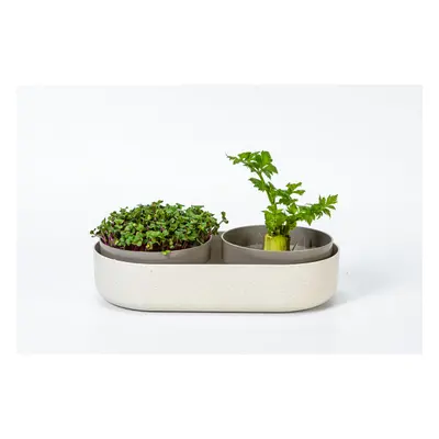 Plastia Velká farma Microgreens+Regrow - slonová kost s kávovou sedlinou