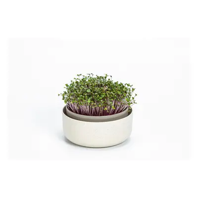 Plastia Microgreens - slonová kost s kávovou sedlinou