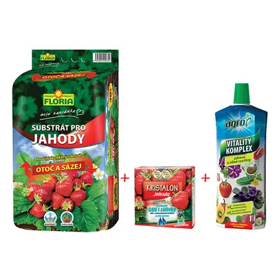 AGRO CS Jahody 29