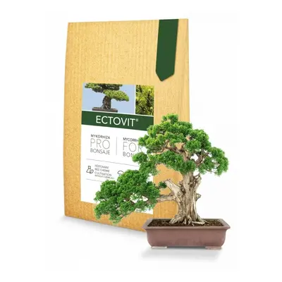 Symbiom Ectovit Bonsai 100g