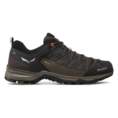 Trekingová obuv Salewa Ms Mrn Trainer Lite Gtx GORE-TEX 61361-7512 Hnědá