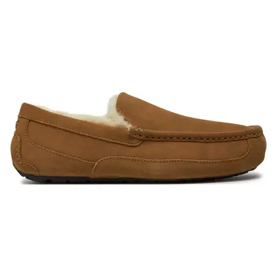 Bačkory Ugg M Ascot 1101110 Hnědá