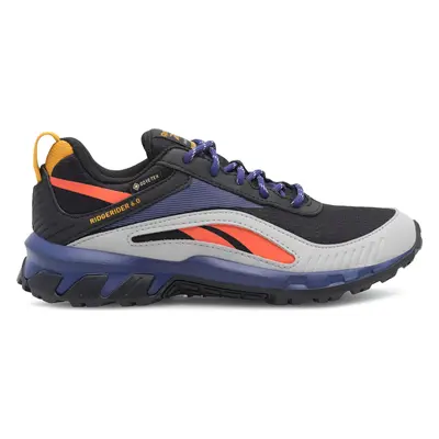 Běžecké boty Reebok Ridgerider 6 Gtx GX2247 Barevná