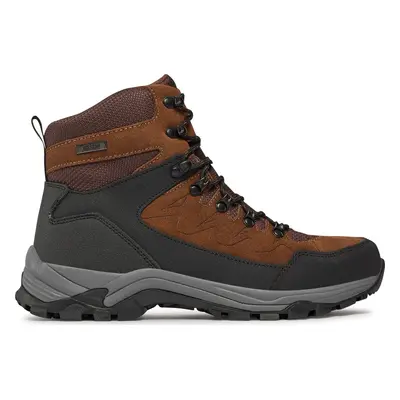 Turistická obuv Whistler Detion Outdoor Leather Boot WP W204389 Šedá