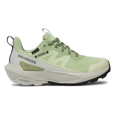 Sneakersy Salomon Elixir Activ Gore-Tex L47456300 Zelená