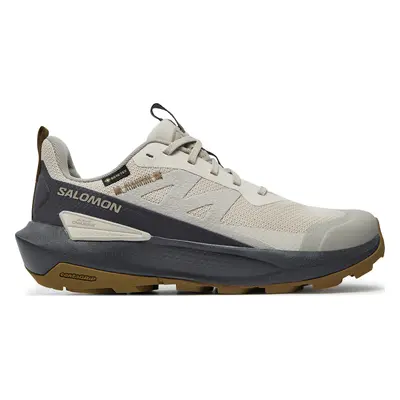 Sneakersy Salomon Elixir Activ Gore-Tex L47691600 Šedá