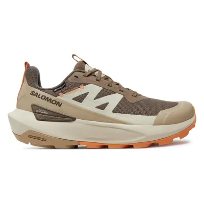 Sneakersy Salomon Elixir Activ Gore-Tex L47456400 Hnědá