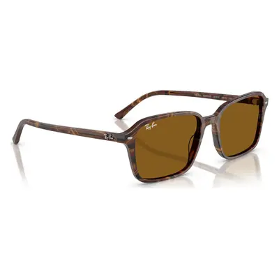 Sluneční brýle Ray-Ban Raimond 0RB2231 14183356 Hnědá