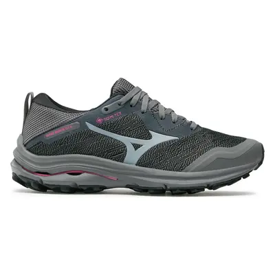 Běžecké boty Mizuno Wave Rider Gtx J1GD2179 Šedá