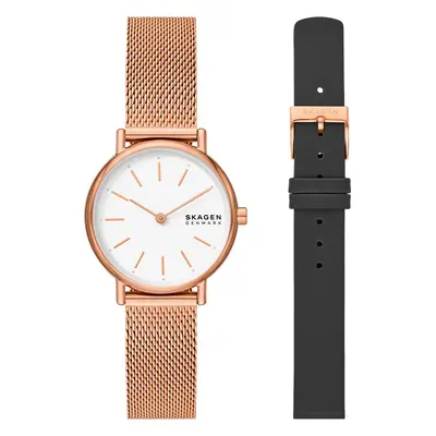 Hodinky Skagen SKW1153SET Zlatá