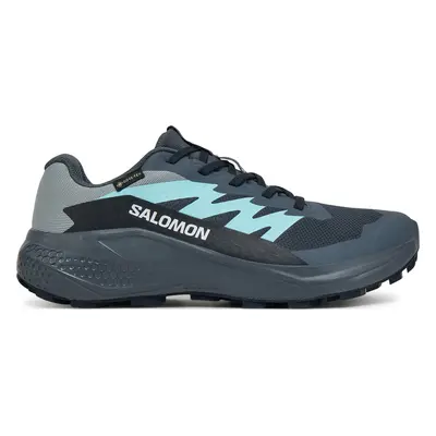 Běžecké boty Salomon Alphaglide Gore-Tex L47802500 Šedá