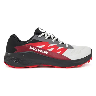 Běžecké boty Salomon Alphaglide Gore-Tex L47802200 Šedá