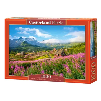 mamido Puzzle 1000 dílků Hala Gąsienicowa, Tatry, Polsko