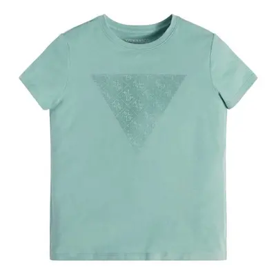 Guess SS T SHIRT Modrá