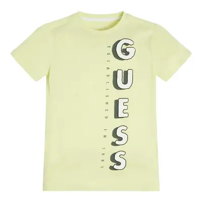 Guess SS T SHIRT Béžová