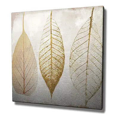 Wallity Decorative Canvas Painting - KC098 ruznobarevne