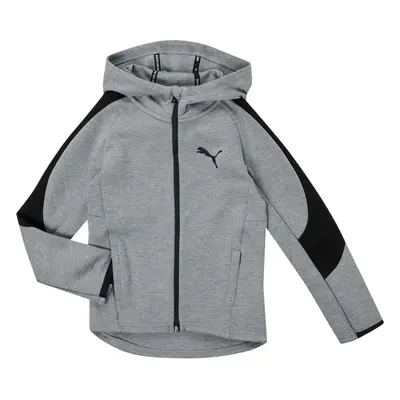 Puma EVOSTRIPE CORE FZ HOODIE Šedá