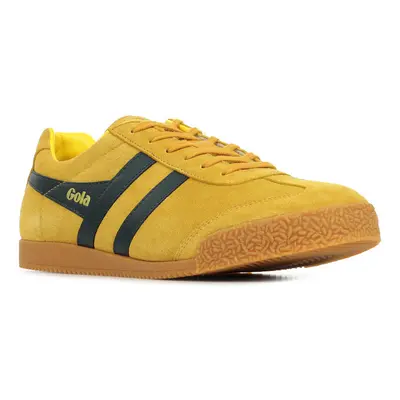 Gola Harrier Suede Hnědá