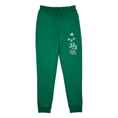 adidas BLUV Q3 PANT Zelená