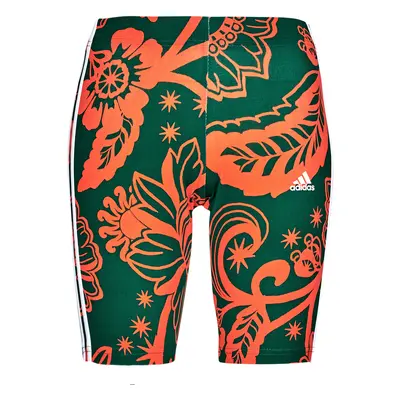 adidas FARM BIKE SHORT Zelená