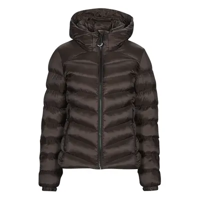 Superdry HOODED FUJI PADDED JACKET Hnědá