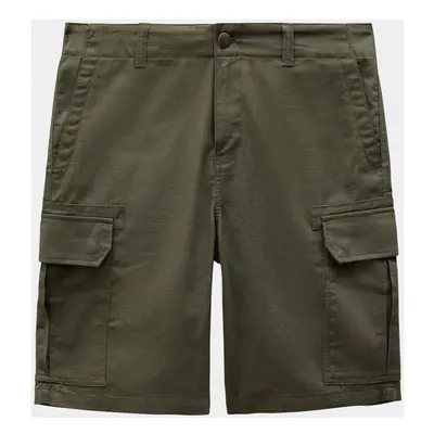 Dickies Millerville short Zelená