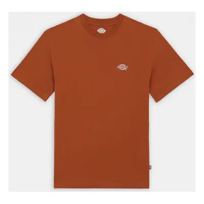 Dickies Summerdale ss tee bombay Hnědá