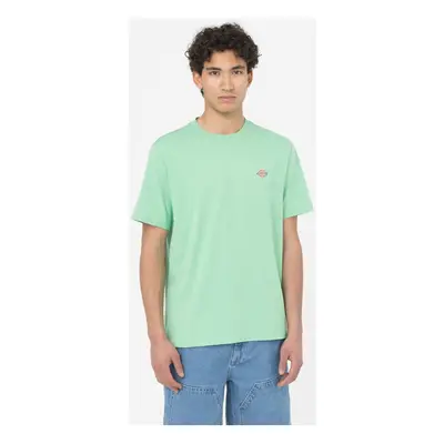 Dickies Ss mapleton t-shirt Zelená