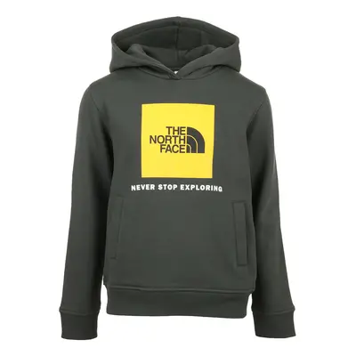 The North Face Box Hoodie Kids Šedá