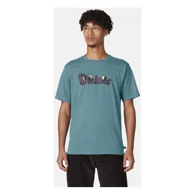 Dickies M franky ss graphic tee Zelená