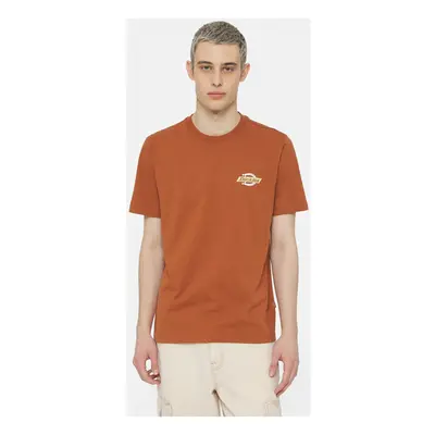 Dickies Ss ruston tee Hnědá