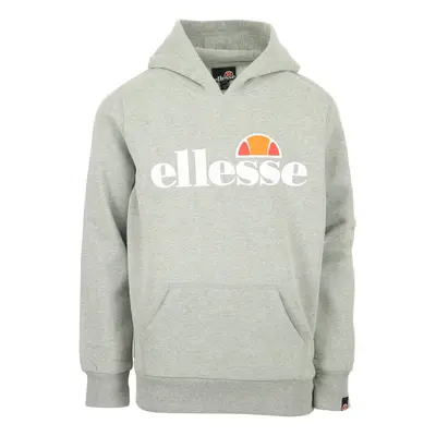 Ellesse Isobel Oh Hoody Šedá