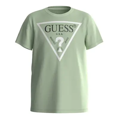 Guess SHIRT CORE Zelená