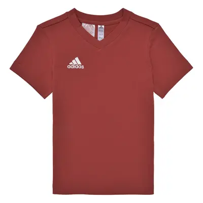 adidas ENT22 TEE Y Červená