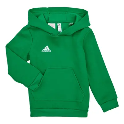 adidas ENT22 HOODY Y Zelená