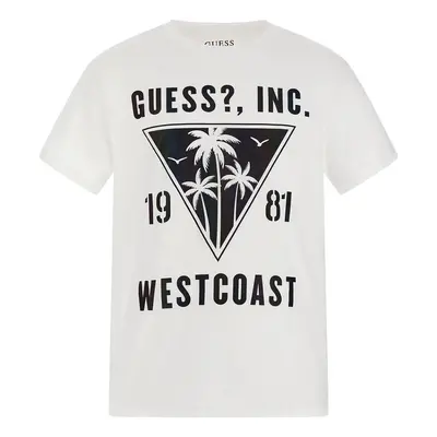 Guess - ruznobarevne (nedostupné)