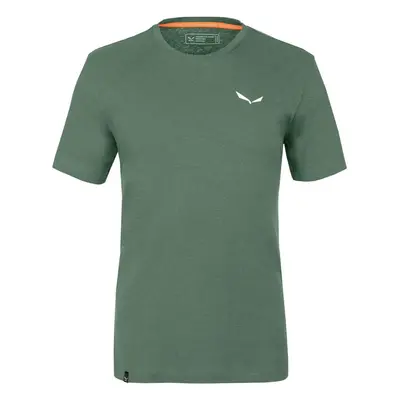 Salewa Pure Dolomites Hemp Men's T-Shirt 28329-5320 Zelená