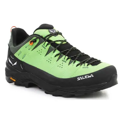 Salewa Alp Trainer 2 Gore-Tex® Men's Shoe 61400-5660 Zelená