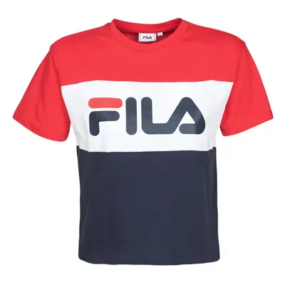 Fila ALLISON ruznobarevne