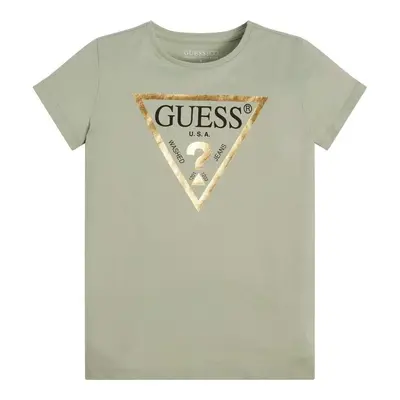 Guess SS T SHIRT CORE Zelená