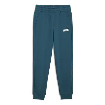 Puma ESS+ 2 COL LOGO PANTS FL CL Zelená