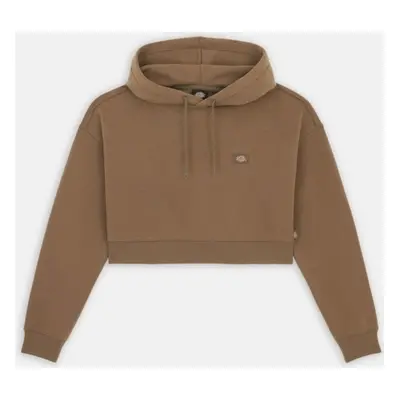 Dickies OAKPORT CROPPED HOODIE Hnědá