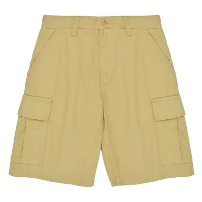 Vans SERVICE CARGO SHORT Béžová