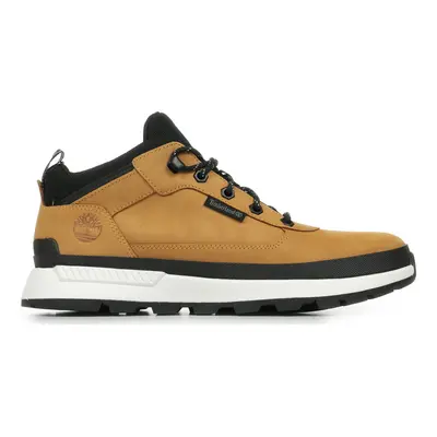 Timberland Filed Trekker Low Lace Sneaker Hnědá