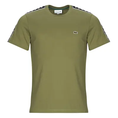 Lacoste TH7404 Khaki