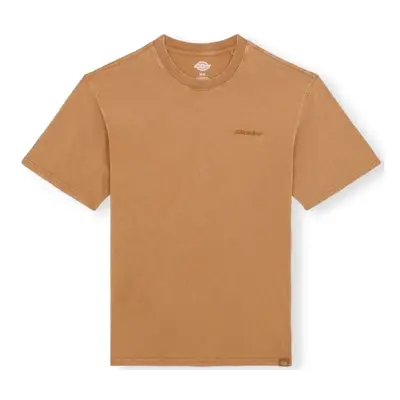 Dickies Plentywood T-Shirt - Brown Hnědá