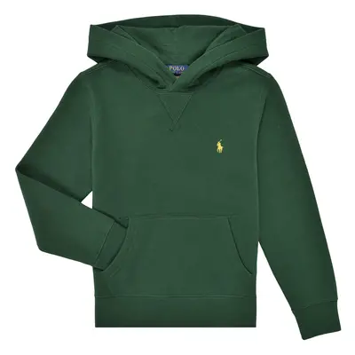 Polo Ralph Lauren LS PO HOOD-TOPS-KNIT Zelená